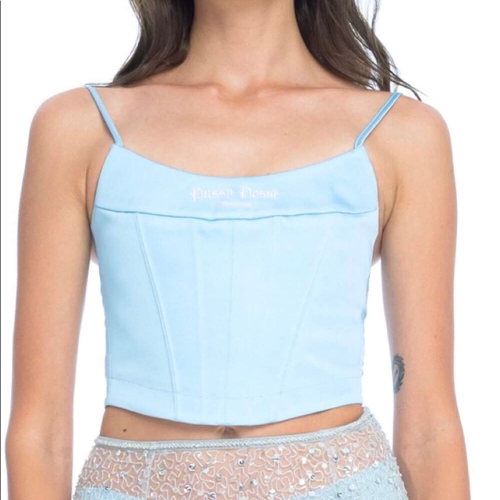 Dyspnea Light Blue Pussy Posse Corset Top Size XS